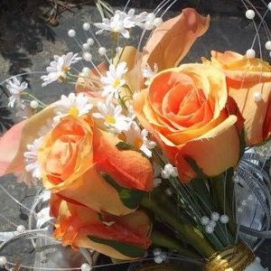 Meet your Posher, Katlynn